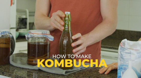 How to Brew Kombucha: A Beginner's Guide - Hollyburn Properties